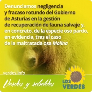 Los Verdes denuncia negligencia y fracaso rotundo del Gobierno de Asturias en gestión de recuperación de fauna salvaje