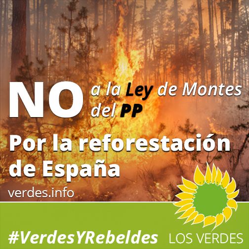 No a la Ley de Montes del PP. Por la reforestación de España