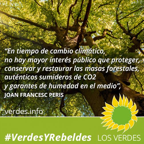 Es urgente una nueva política forestal: el caso valenciano